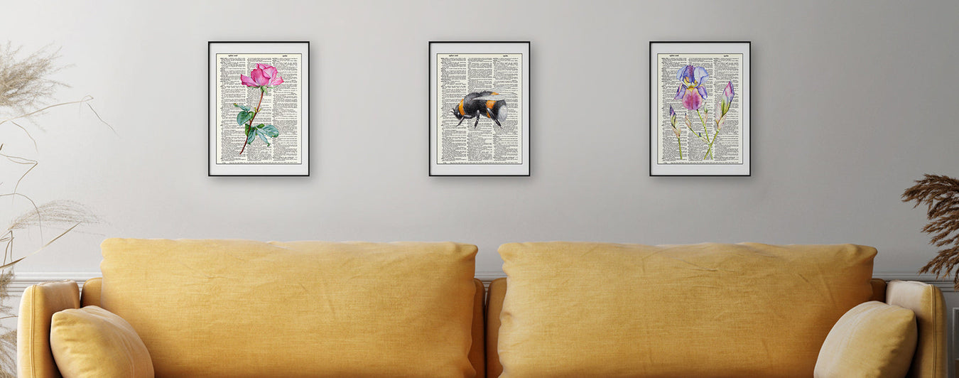 Three dictionary art prints on a wall behind a yellow couch - a flower print, a bumblebee print, and a second flower print