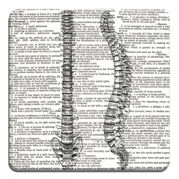 Human Spine - Novelty Coasters