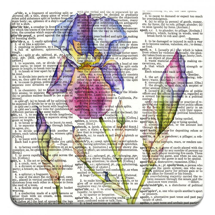 Iris Watercolor - Novelty Coasters