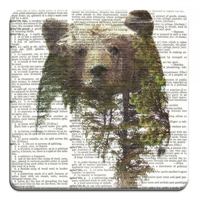 Double Exposure Bear - Novelty Coasters