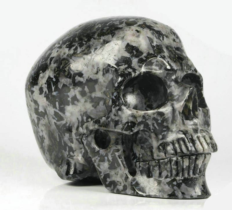 5" Gabbro - Crystal Skulls