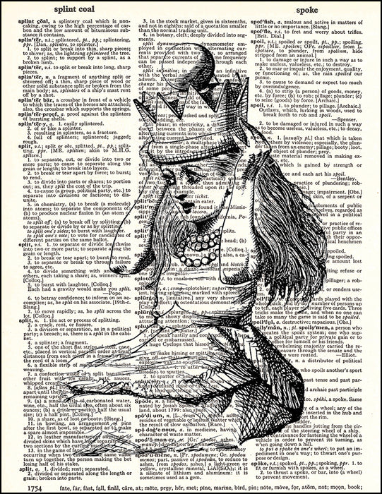 An image of a(n) Alice Crown Dictionary Art Print.