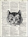 An image of a(n) Cheshire Cat Dictionary Art Print.