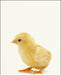 An image of a(n) Farm Baby Chick inspired Baby Animal Print.