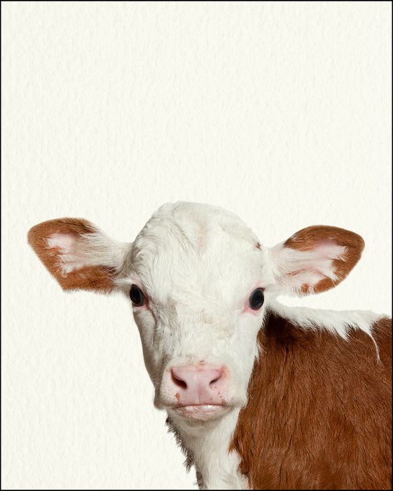An image of a(n) Farm Baby Cow inspired Baby Animal Print.