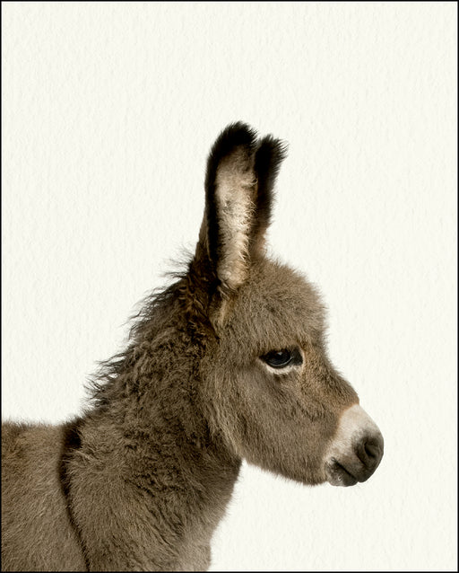 An image of a(n) Farm Baby Donkey inspired Baby Animal Print.