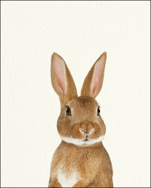 An image of a(n) Woodland Baby Bunny inspired Baby Animal Print.