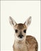 An image of a(n) Woodland Baby Fawn inspired Baby Animal Print.