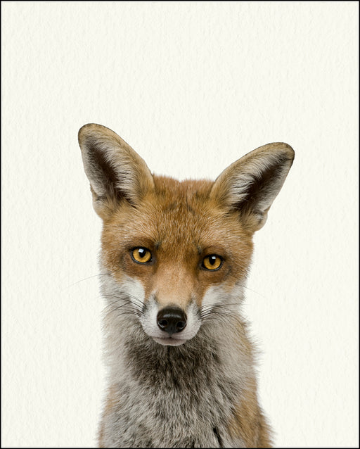 An image of a(n) Woodland Baby Fox inspired Baby Animal Print.