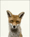 An image of a(n) Woodland Baby Fox inspired Baby Animal Print.