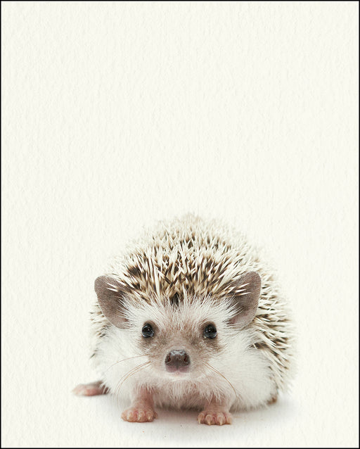 An image of a(n) Woodland Baby Hedgehog inspired Baby Animal Print.