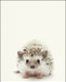 An image of a(n) Woodland Baby Hedgehog inspired Baby Animal Print.