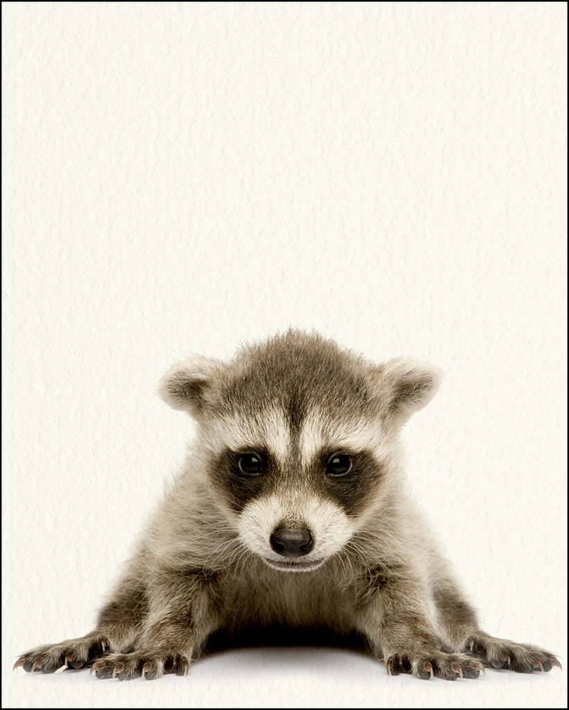 Sniggle Sloth Baby Raccoon Rubber Stamp – 1/2 Inch Self-Inking Craft Stamp, Pink Ink