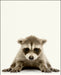An image of a(n) Woodland Baby Raccoon inspired Baby Animal Print.