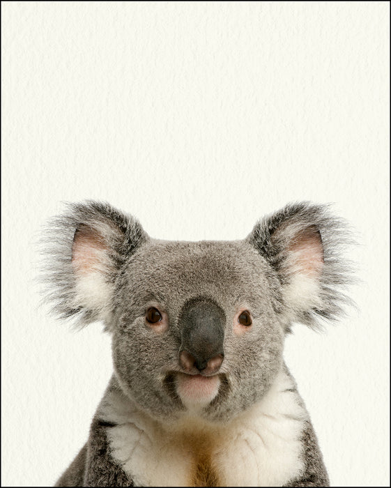 An image of a(n) Zoo Baby Koala inspired Baby Animal Print.