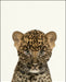 An image of a(n) Zoo Baby Leopard inspired Baby Animal Print.