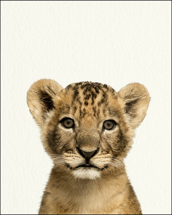 An image of a(n) Zoo Baby Lion inspired Baby Animal Print.
