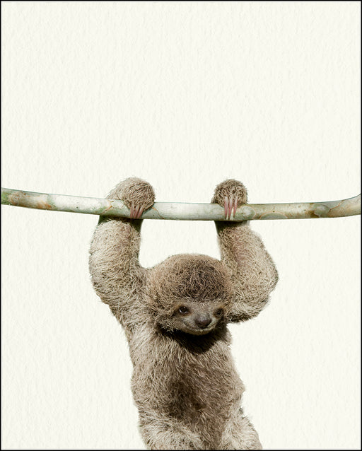 An image of a(n) Zoo Baby Sloth inspired Baby Animal Print.