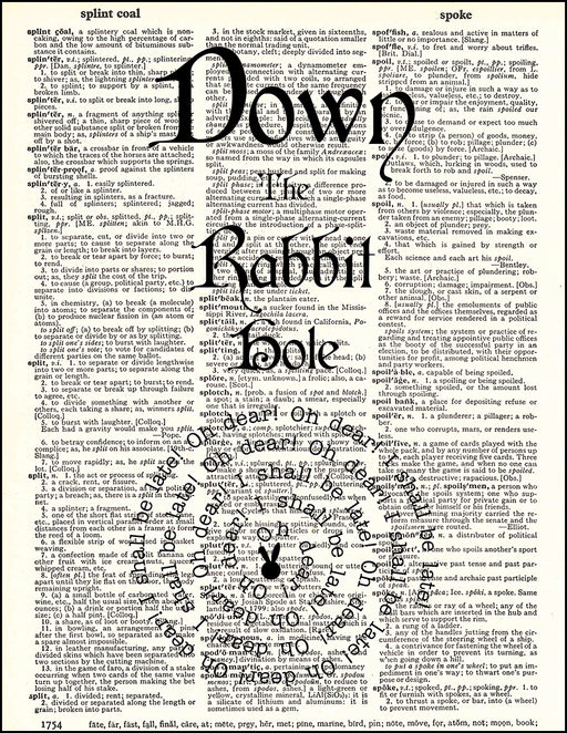 An image of a(n) Down The Rabbit Hole Quote Dictionary Art Print.