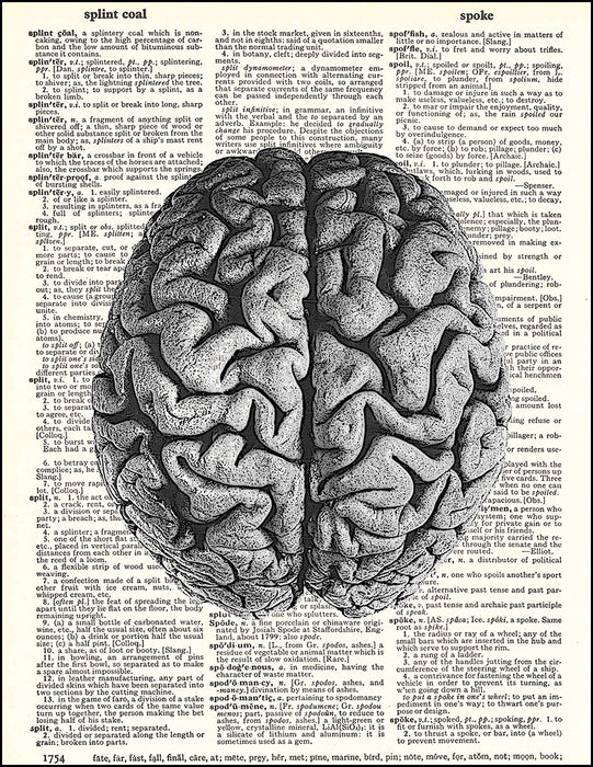 An image of a(n) Human Brain Dictionary Art Print.