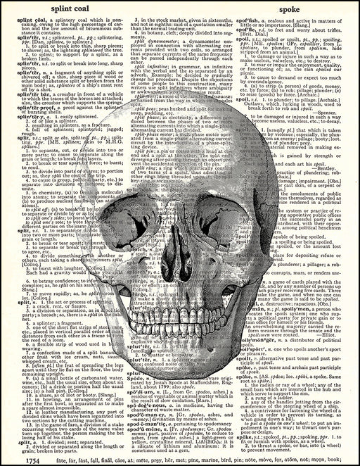 An image of a(n) Human Skull Dictionary Art Print.