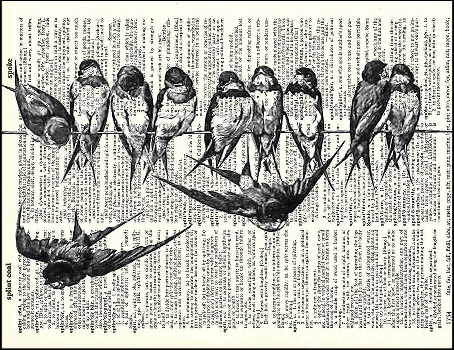 An image of a(n) Birds on a Wire Dictionary Art Print.