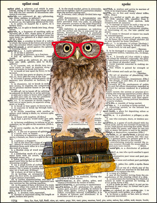 An image of a(n) Wise little Owl Dictionary Art Print.