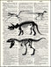 An image of a(n) Dinosaur Skeleton Collection Dictionary Art Print.