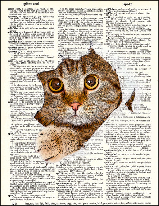 An image of a(n) Cat Tearing Through Page Dictionary Art Print.