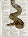 An image of a(n) Python Dictionary Art Print.