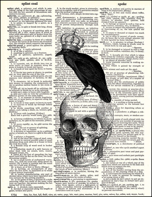 An image of a(n) Human Skull with Raven Dictionary Art Print.