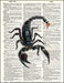 An image of a(n) Scorpion Dictionary Art Print.