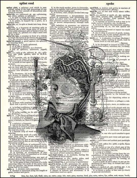 An image of a(n) Steampunk Lady Dictionary Art Print.