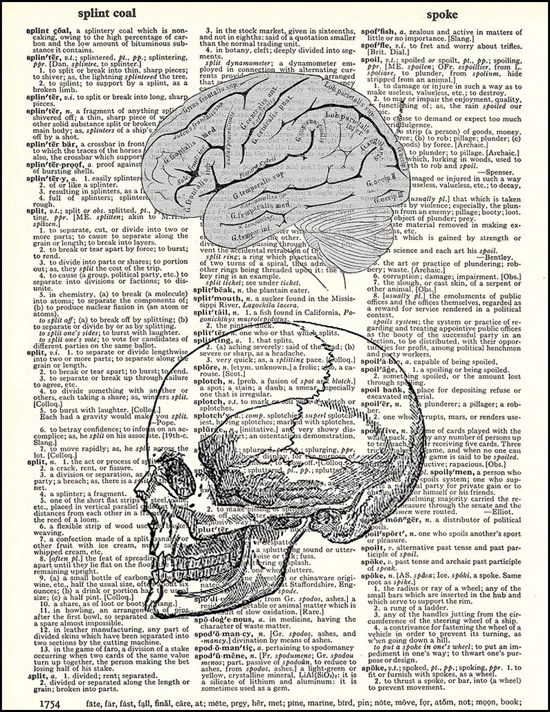 Human Brain and Skull - Dictionary Art Print — Fresh Prints of CT