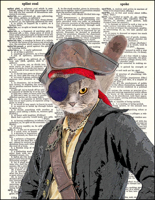 An image of a(n) Pirate Cat Dictionary Art Print.