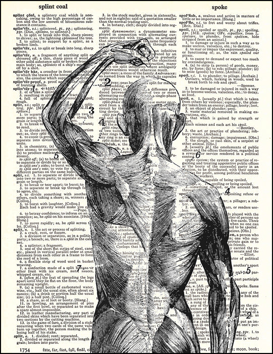 An image of a(n) Anatomical Muscles Dictionary Art Print.