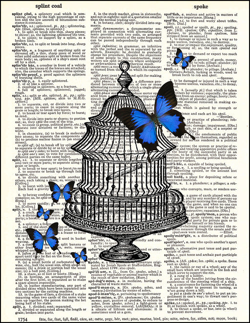 An image of a(n) Butterflies and Cage Dictionary Art Print.