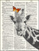 An image of a(n) Butterfly on Giraffe Dictionary Art Print.