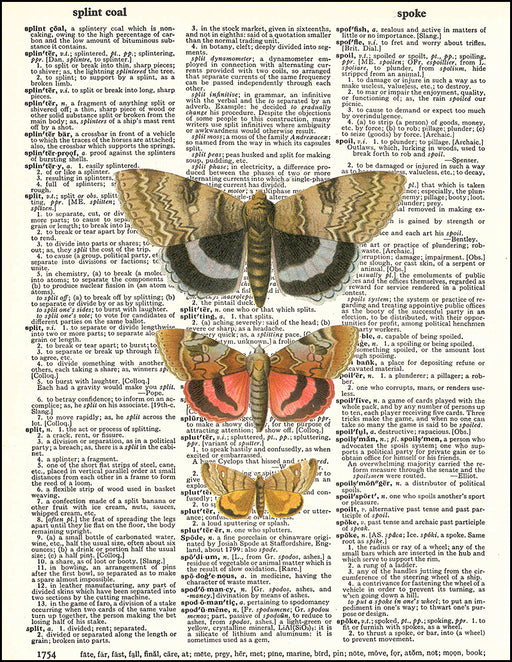 An image of a(n) Triple Moths Dictionary Art Print.