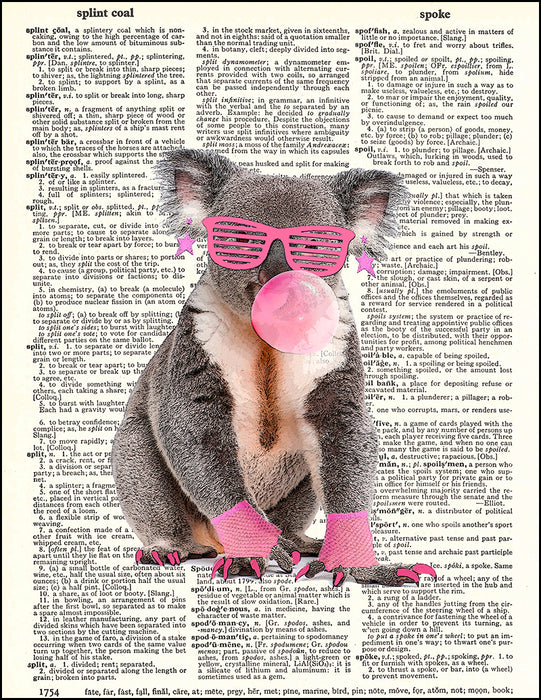 An image of a(n) 80's Koala Dictionary Art Print.