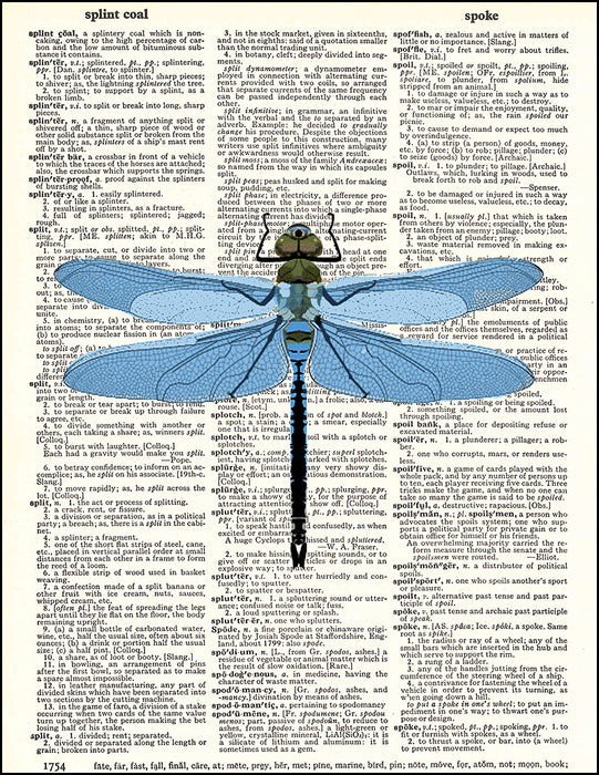 An image of a(n) Blue Dragonfly Dictionary Art Print.