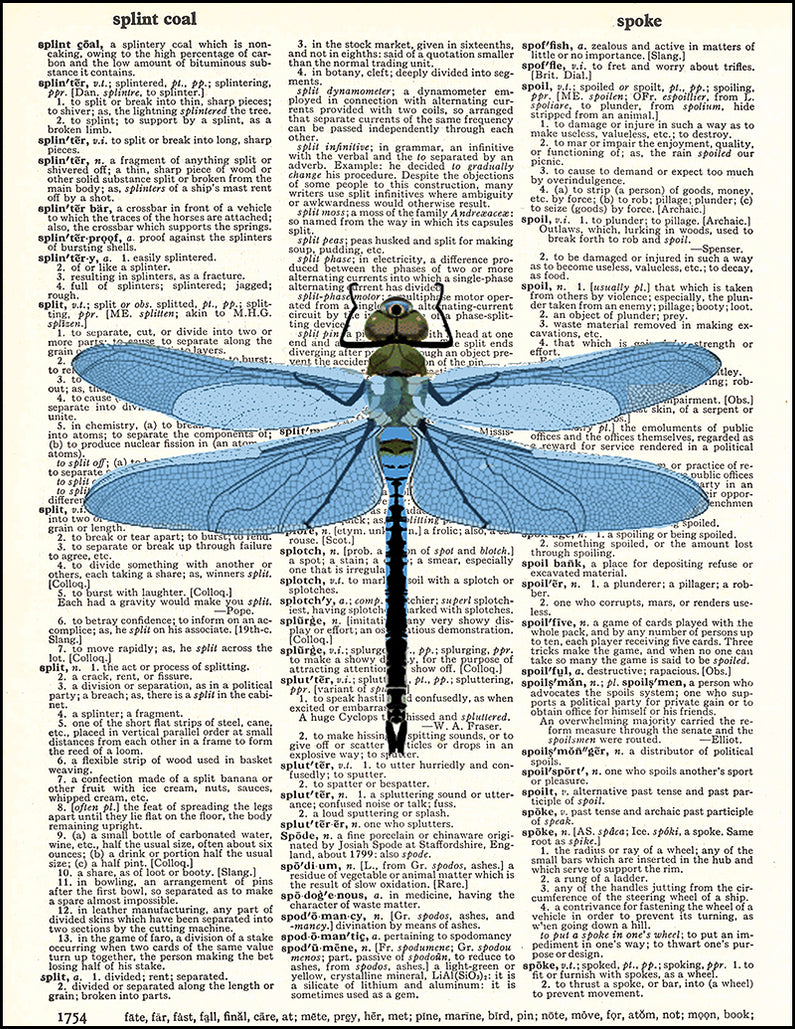 Blue Dragonfly - Dictionary Art Print — Fresh Prints of CT