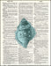 An image of a(n) Blue Seashell Dictionary Art Print.