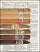 An image of a(n) Seven Cigars Dictionary Art Print.