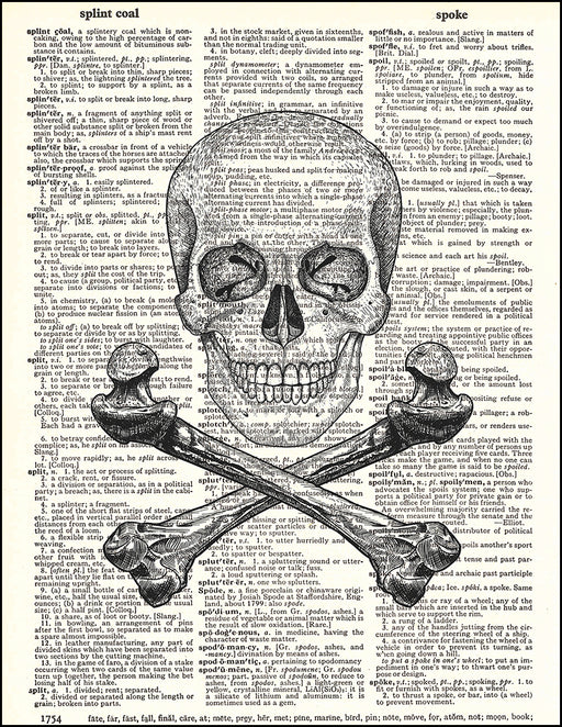 An image of a(n) Skull and Crossbones Dictionary Art Print.