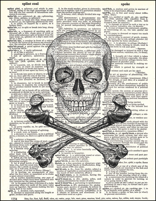 Skull and Crossbones - Dictionary Art Print — Fresh Prints of CT