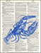 An image of a(n) Blue Lobster Dictionary Art Print.