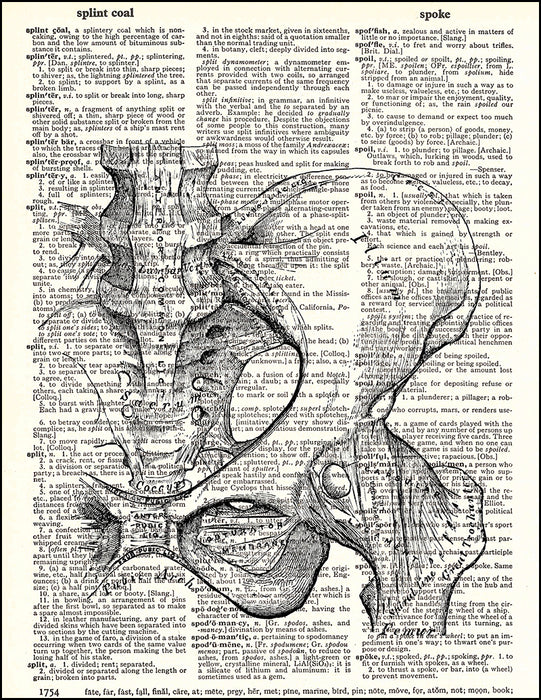 An image of a(n) Human Pelvis Dictionary Art Print.