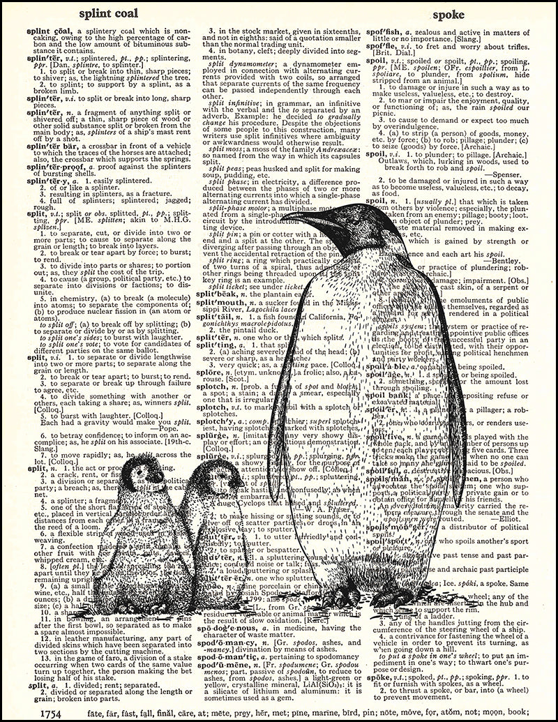 FP_DAP_000142-Penguin-