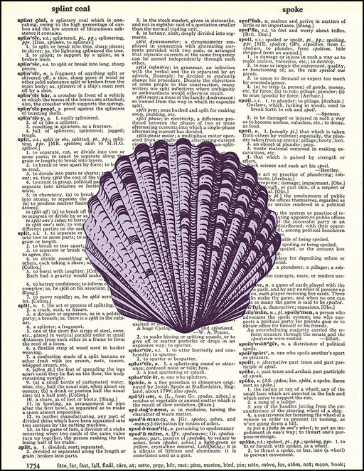 An image of a(n) Purple Seashell Dictionary Art Print.